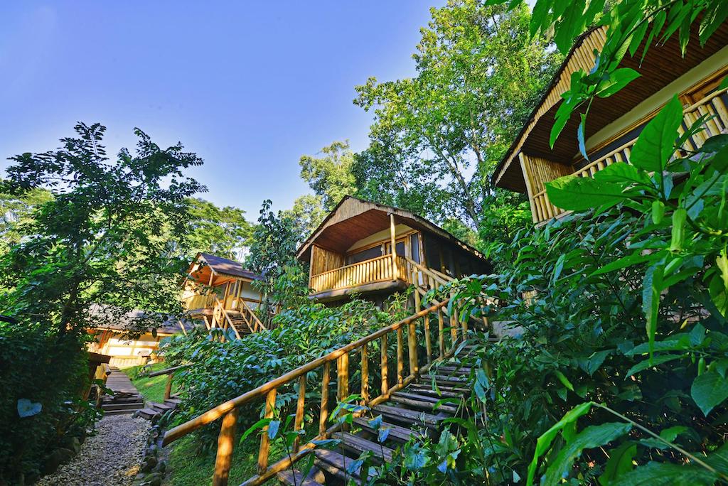 READ MORE ABOUT BUHOMA LODGE
