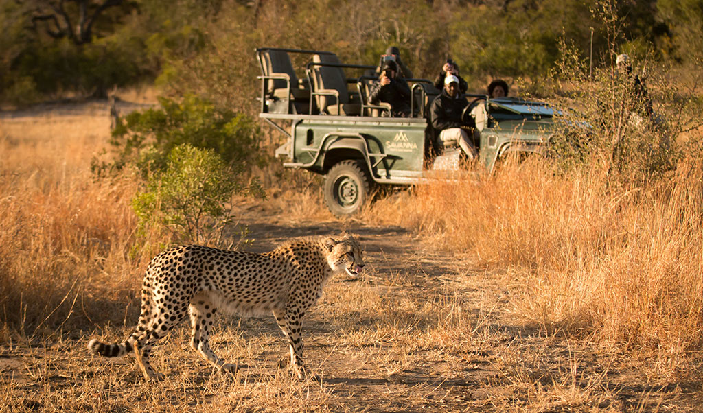 SAVANNA LODGE