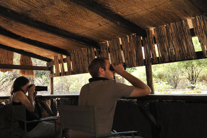 CHARMING ZAMBIA
