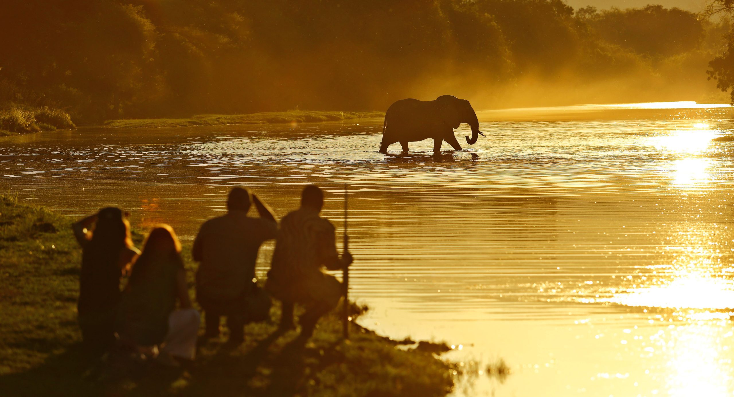 Wildlife On The Waterside