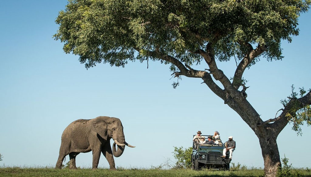 SAVANNA LODGE