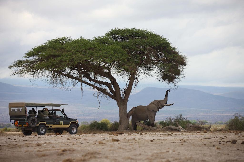 COMPLETE KENYA