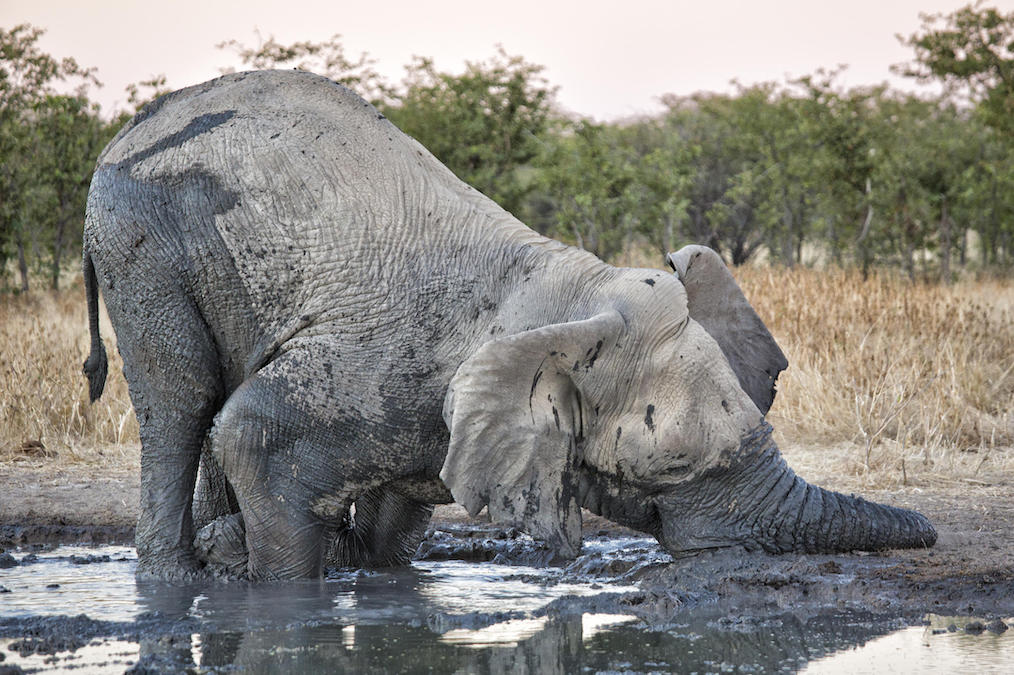 NAMIBIA HIGHLIGHTS