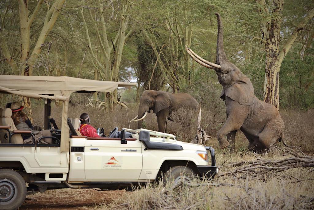 OFFBEAT KENYA