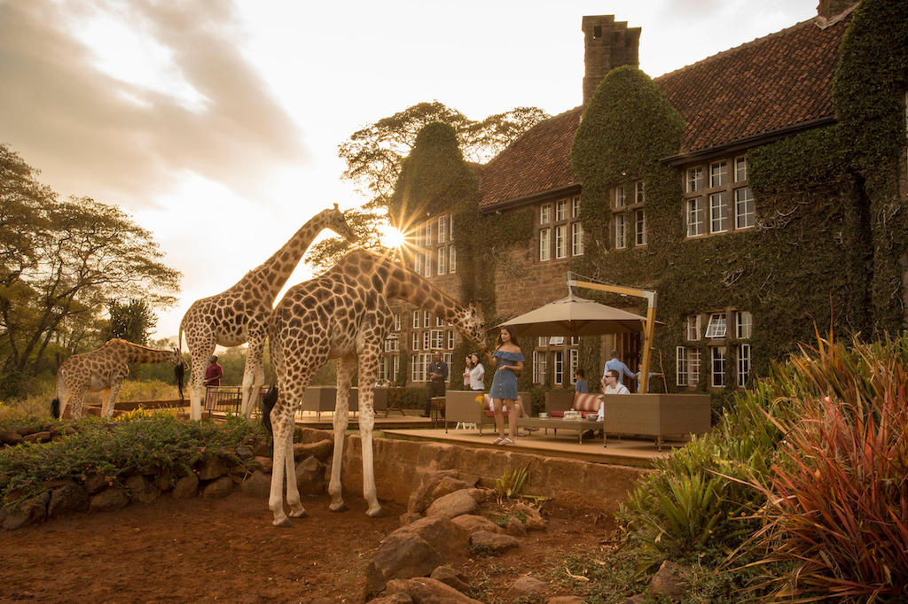 READ MORE ABOUT GIRAFFE MANOR