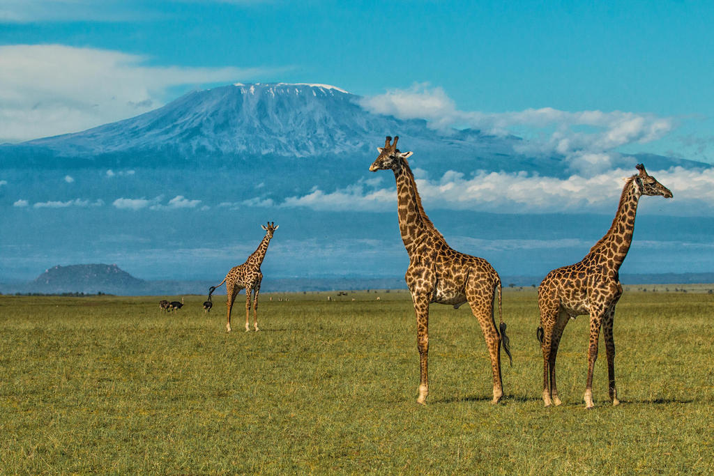 OFFBEAT KENYA