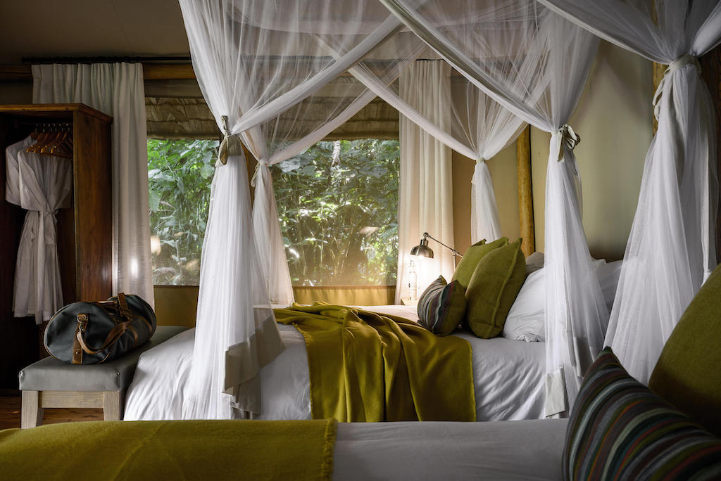 READ MORE ABOUT GORILLA FOREST CAMP
