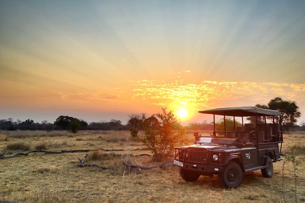 TRULY WILD ZAMBIA