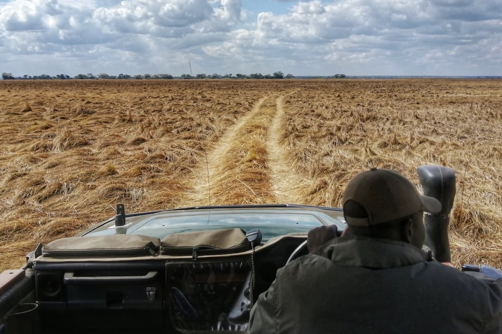 TRULY WILD ZAMBIA