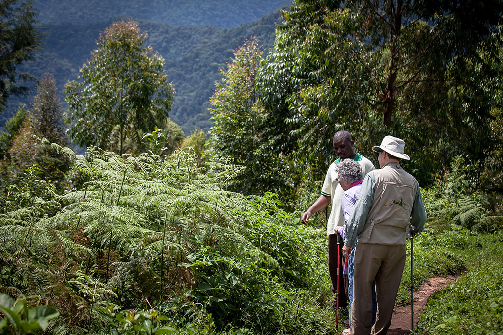 CLOUDS MOUNTAIN GORILLA LODGE