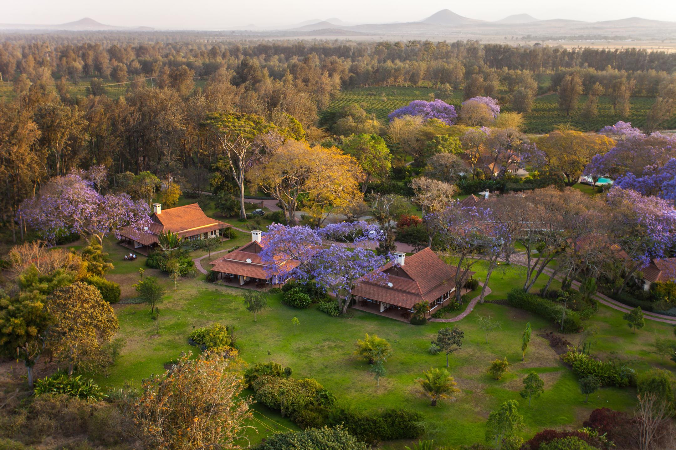 READ MORE ABOUT LEGENDARY LODGE