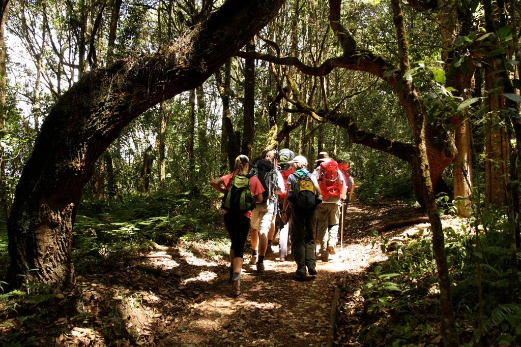 NORTHERN TANZANIA HIGHLIGHTS