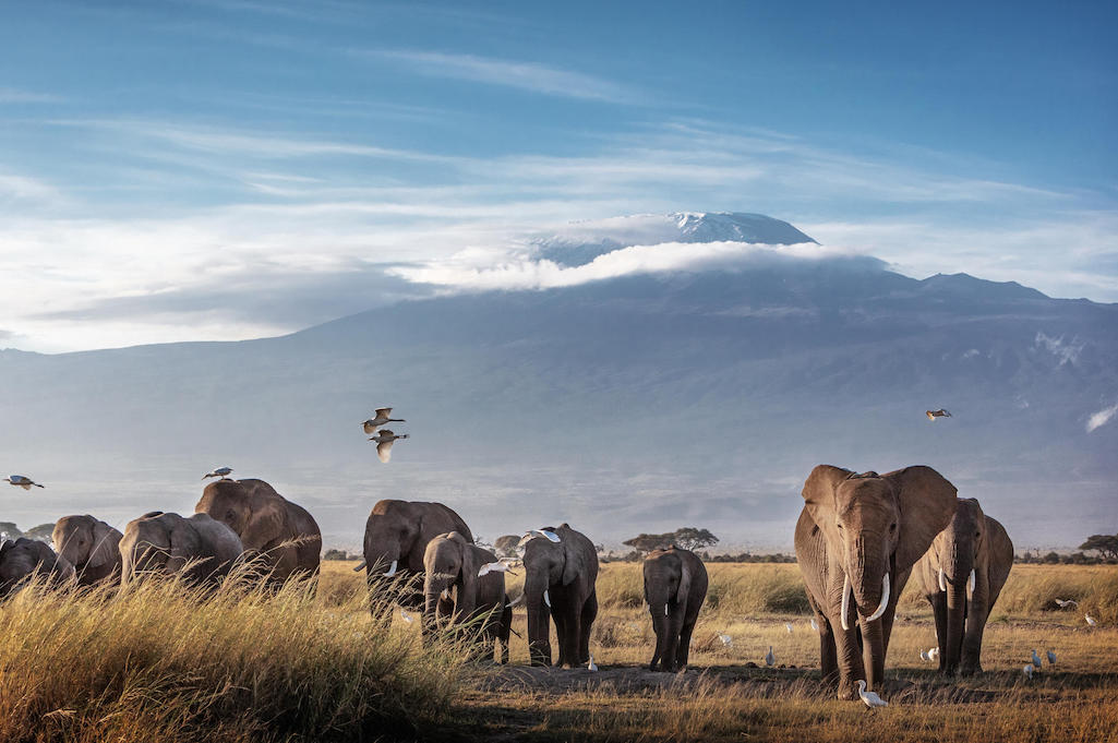 NORTHERN TANZANIA HIGHLIGHTS