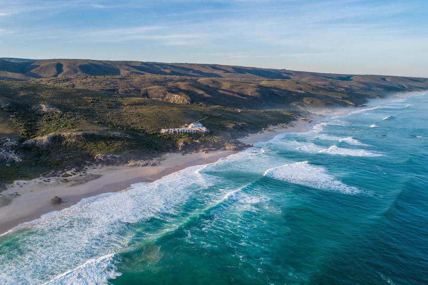WINE, WHALES AND WILDLIFE