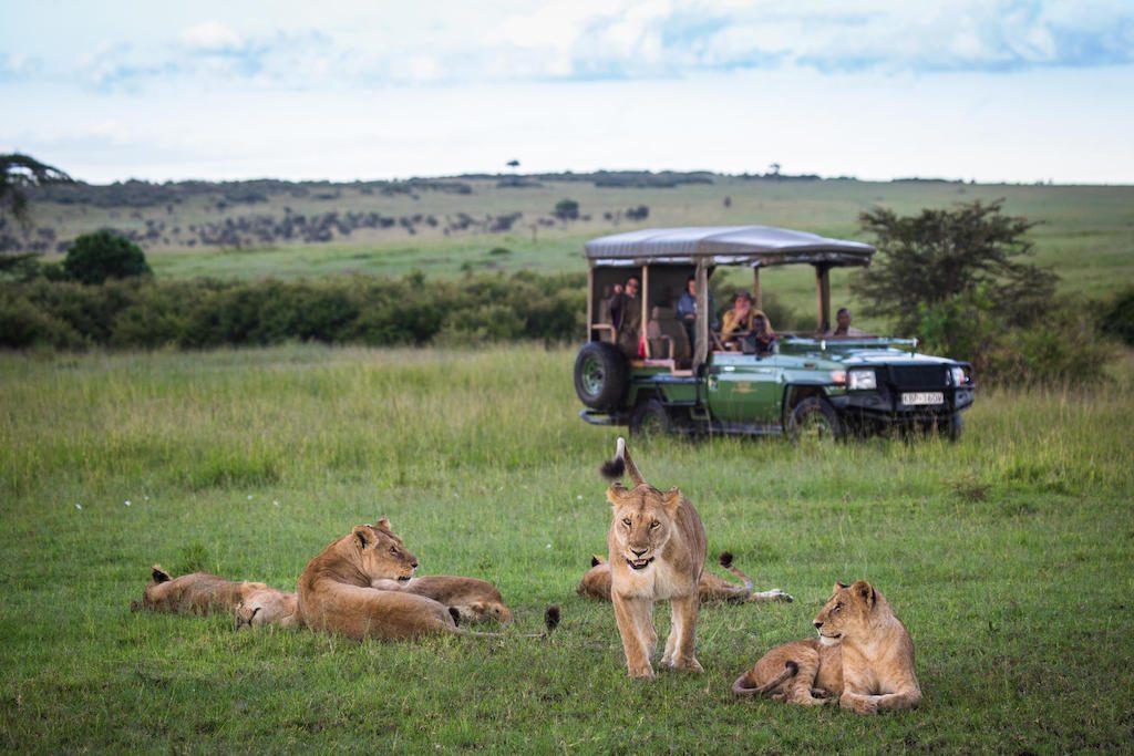 MARA MIGRATION