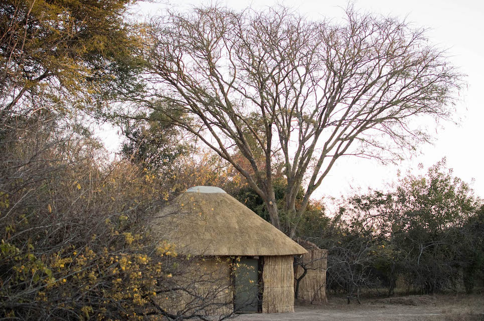 READ MORE ABOUT NTEMWA BUSANGA CAMP