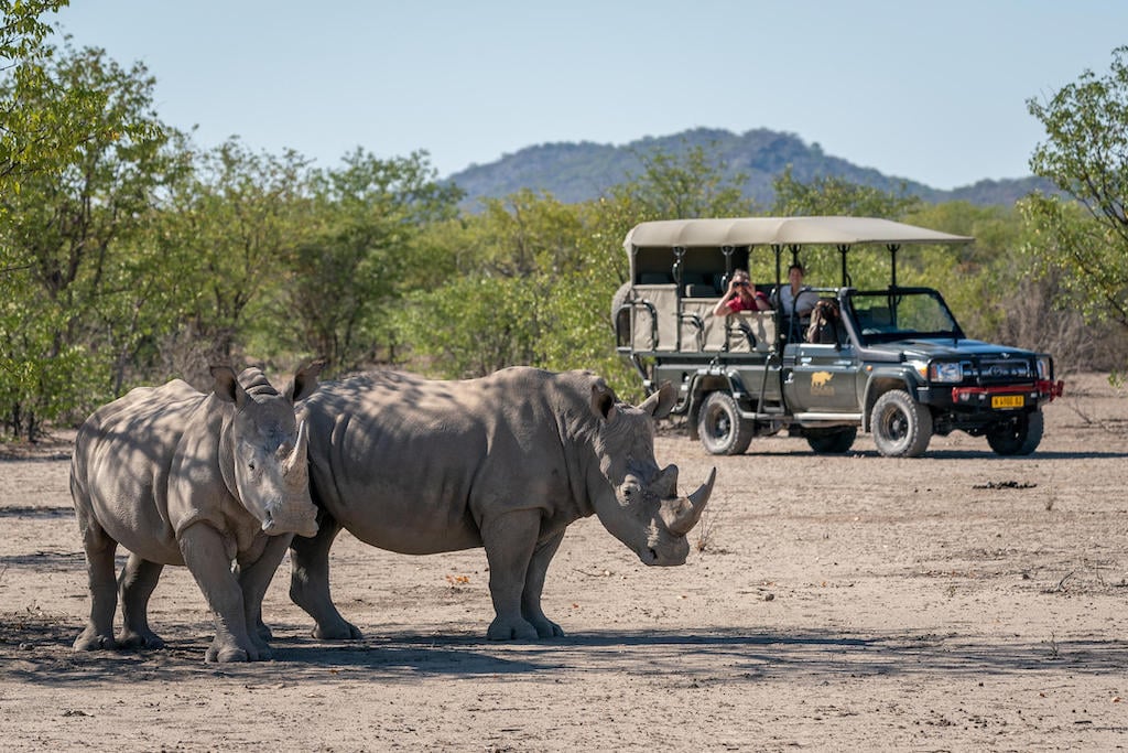 BEST OF ETOSHA