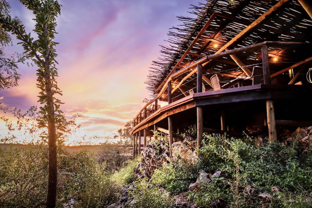 READ MORE ABOUT ONGAVA LODGE