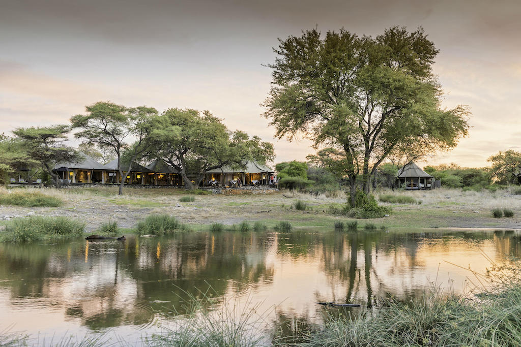 READ MORE ABOUT ONGUMA TENTED CAMP