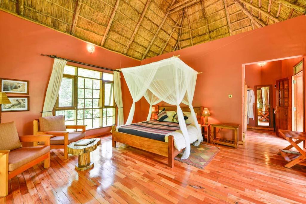 READ MORE ABOUT PRIMATE LODGE KIBALE