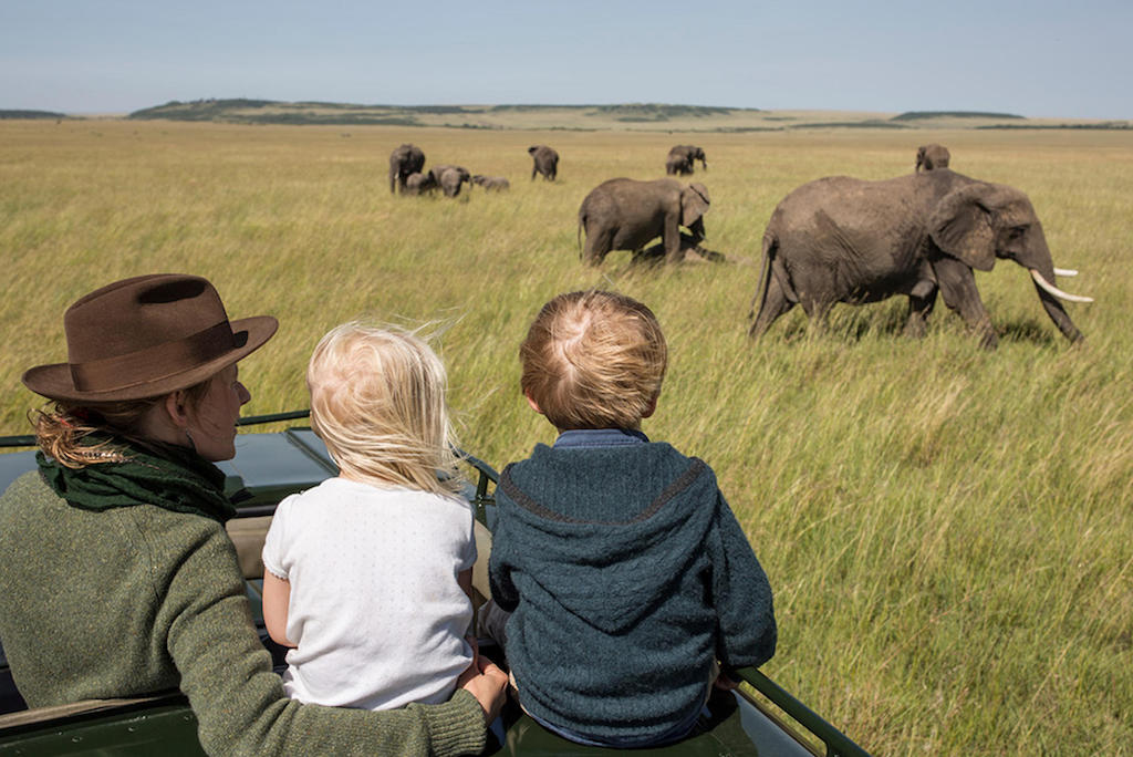 MARA MIGRATION