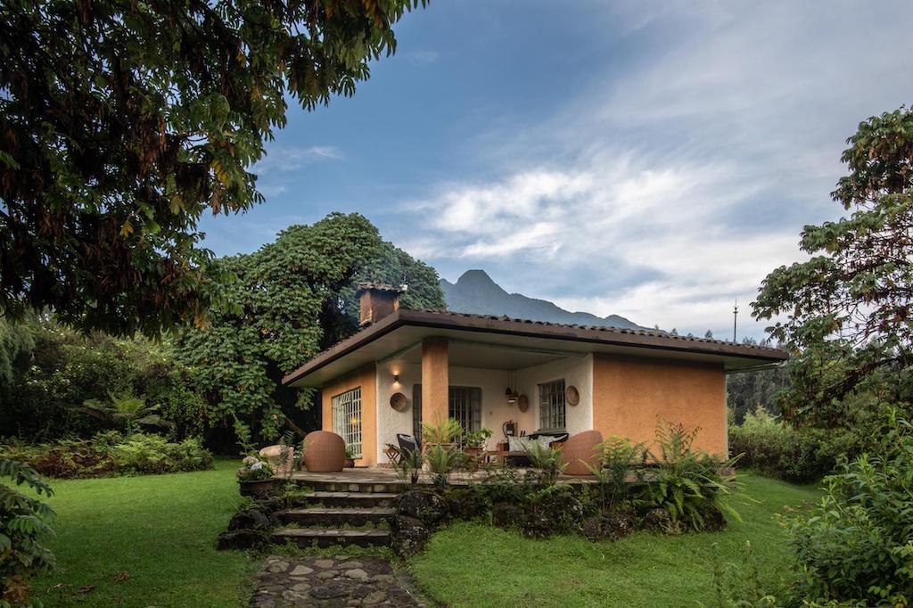 Read more about Sabyinyo Silverback Lodge