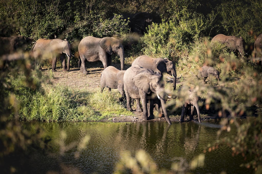 SUBLIME SOUTH AFRICA