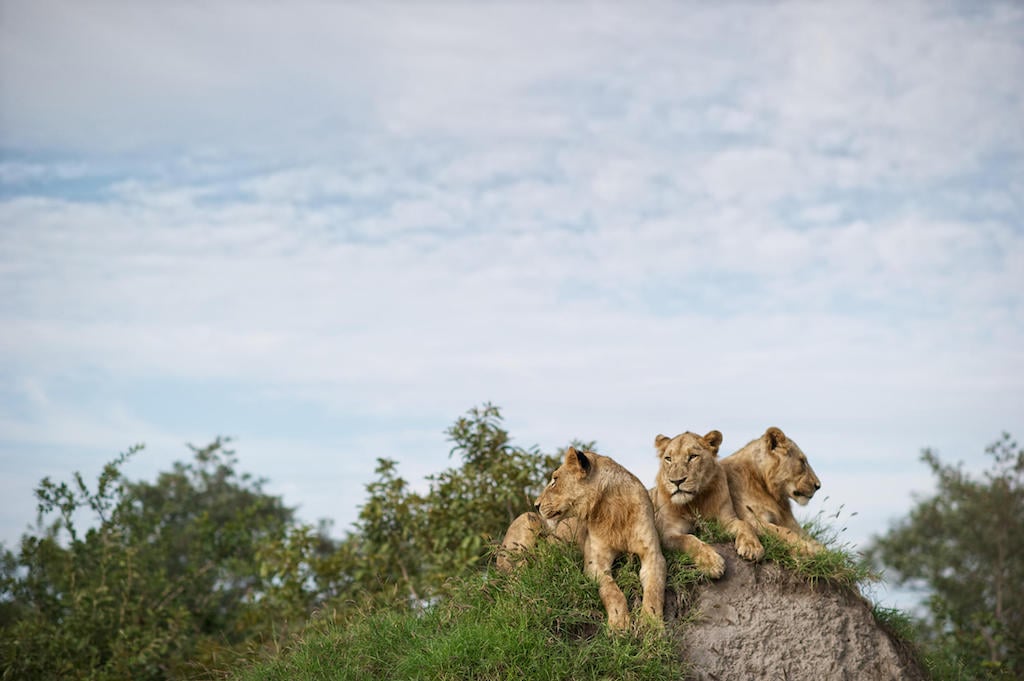 SUBLIME SOUTH AFRICA