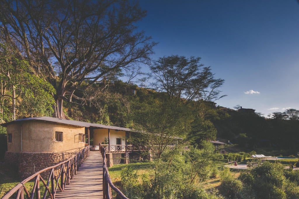 READ MORE ABOUT THE EMAKOKO