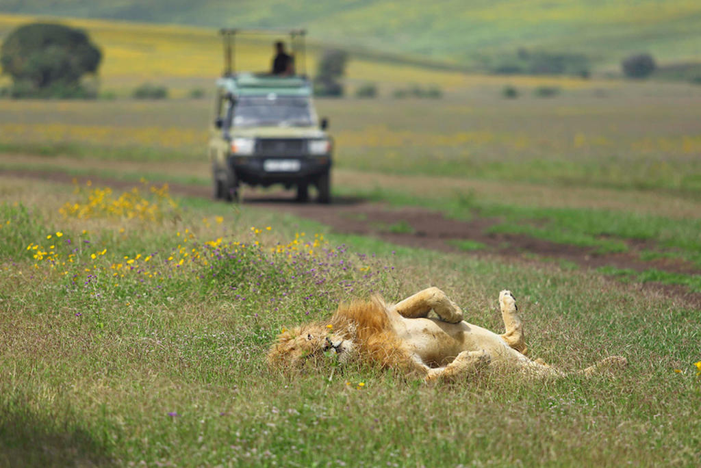 NORTHERN TANZANIA HIGHLIGHTS