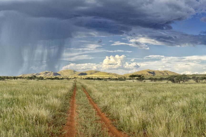 KALAHARI AND CAPE TOWN