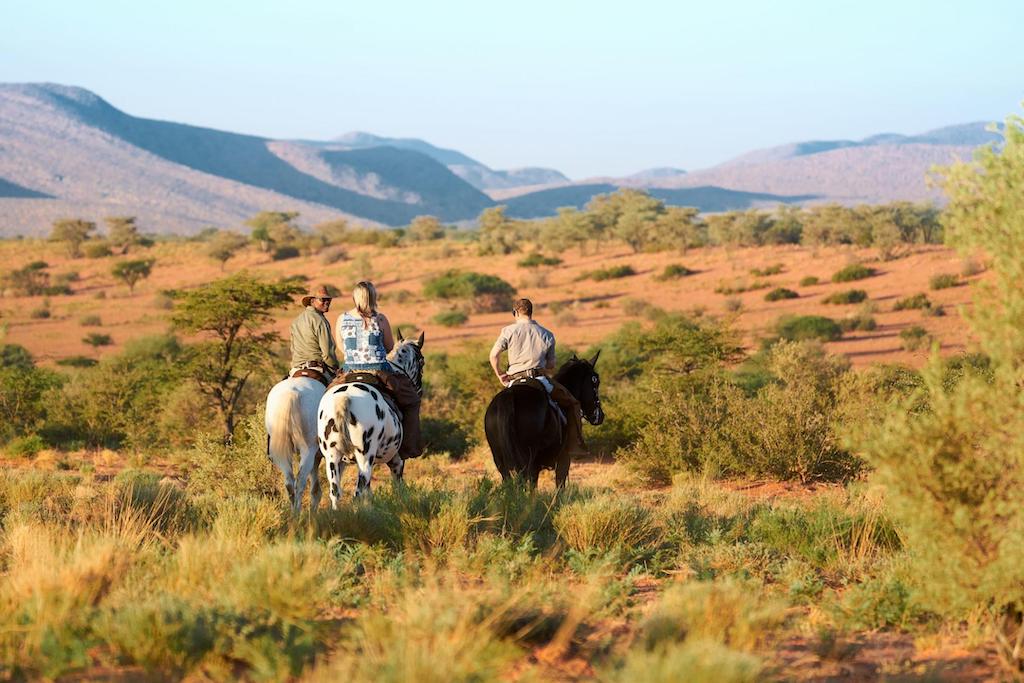 KALAHARI AND CAPE TOWN