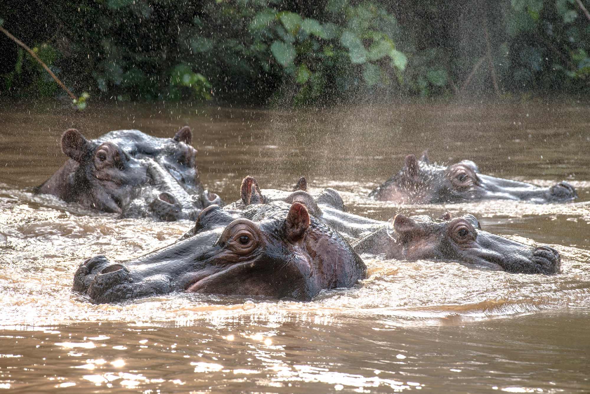 KYAMBURA GORGE LODGE