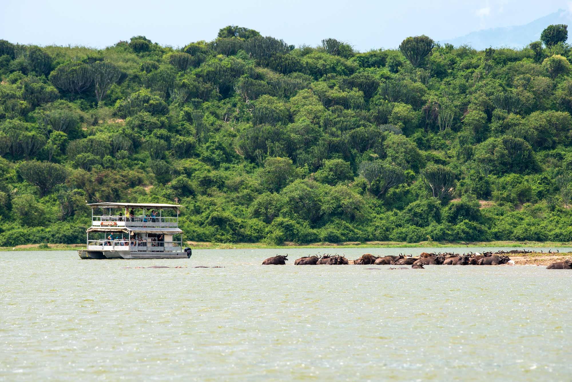 KYAMBURA GORGE LODGE