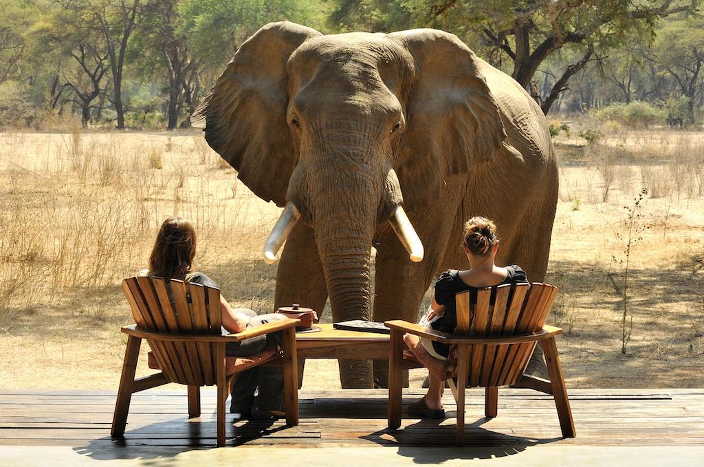 CHARMING ZAMBIA