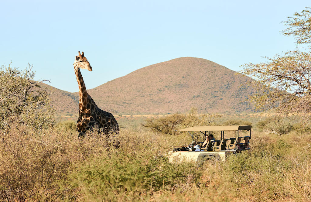 KALAHARI AND CAPE TOWN