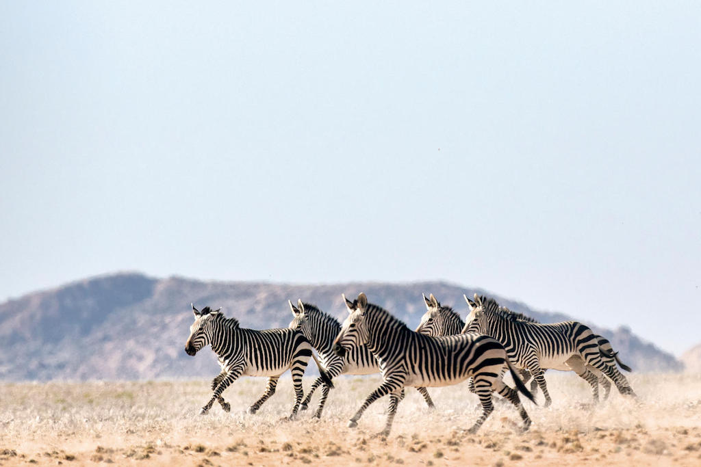 EXTRAORDINARY NAMIBIA