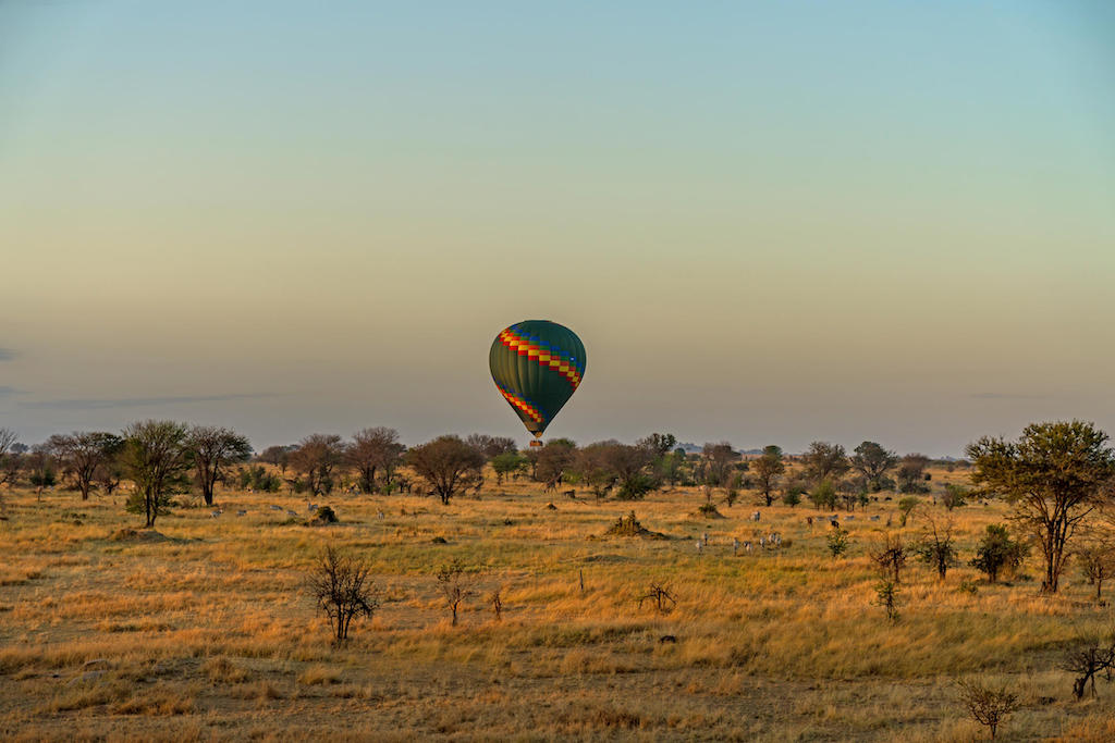 NORTHERN TANZANIA HIGHLIGHTS