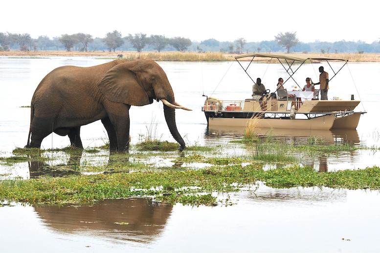 CHARMING ZAMBIA