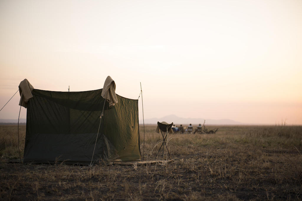 REMOTE AND WILD
