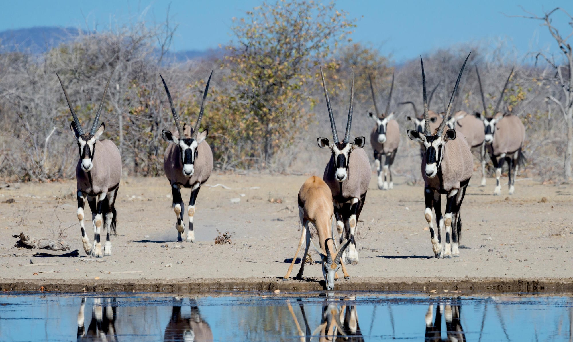 Namibia Highlights