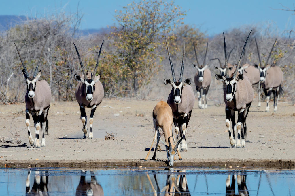 NAMIBIA HIGHLIGHTS