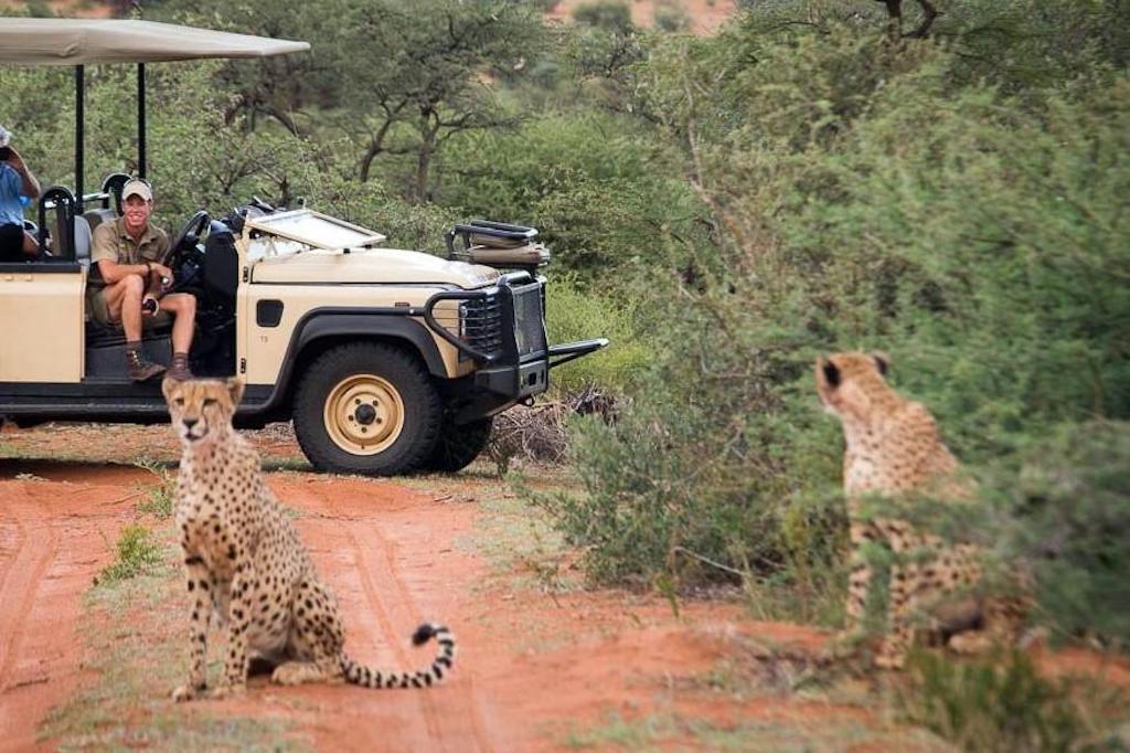 KALAHARI AND CAPE TOWN