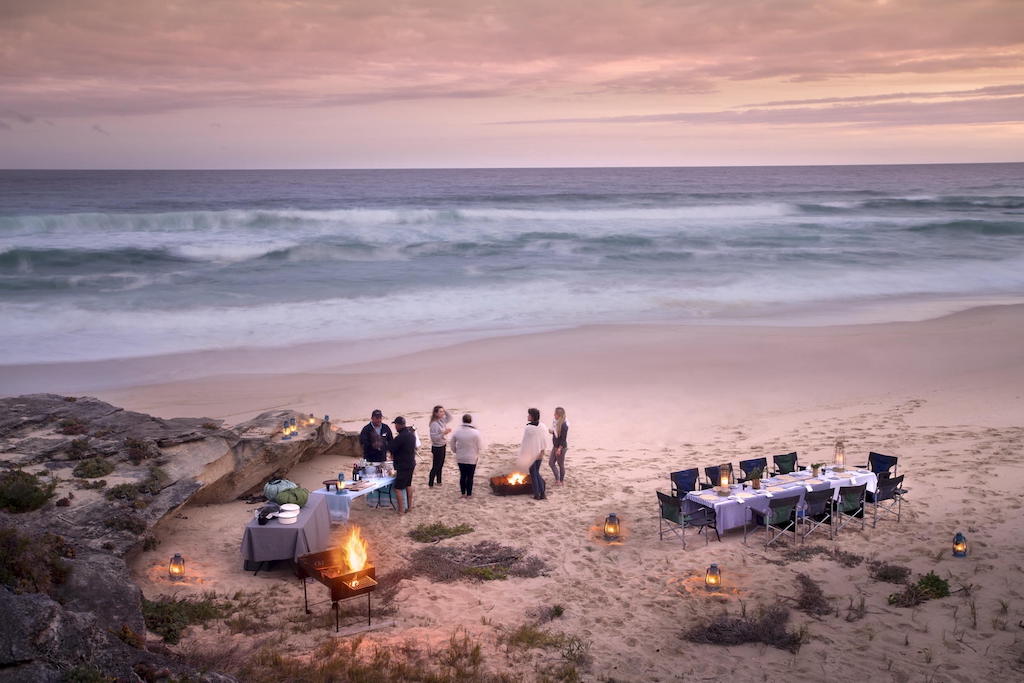 WINE, WHALES AND WILDLIFE