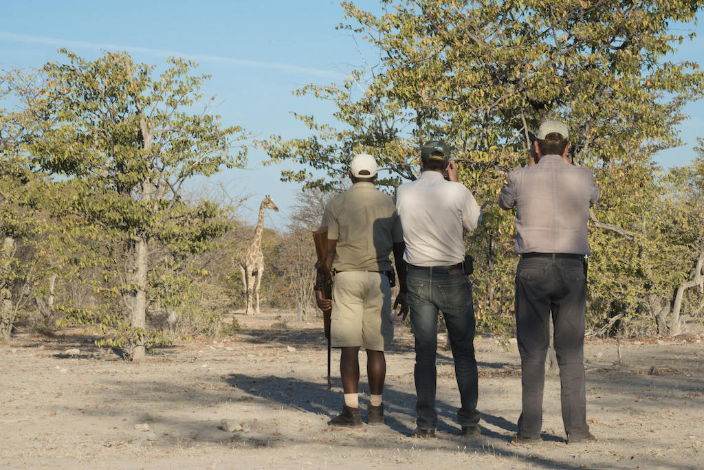 EXTRAORDINARY NAMIBIA