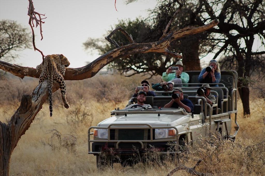 BEST OF ETOSHA