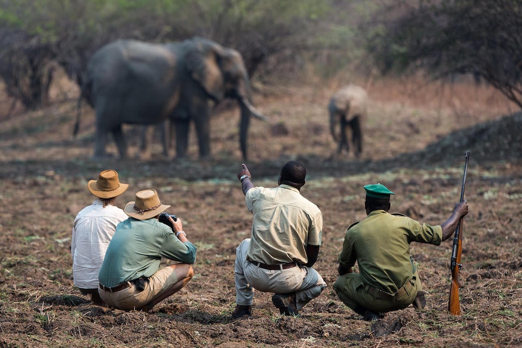 TRULY WILD ZAMBIA