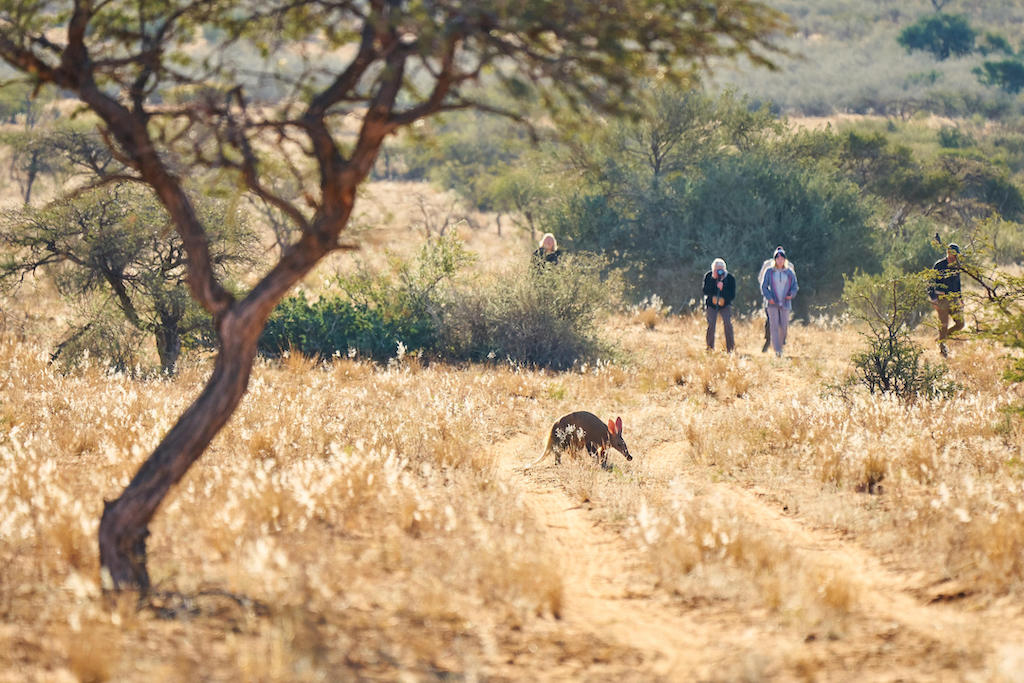 KALAHARI AND CAPE TOWN