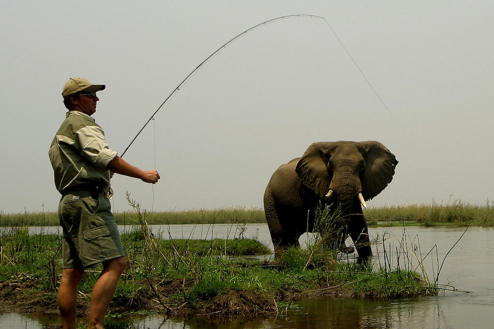 MAGNIFICENT ZAMBIA