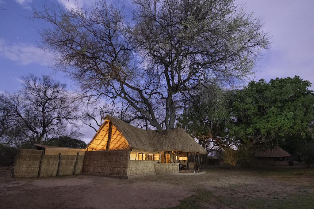 Read more about Tafika Camp